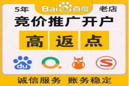百度推广平台案例剖析：揭秘广告投放策略